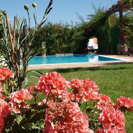 Villa Giusy B&B Cesena Exterior photo