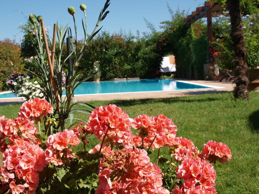 Villa Giusy B&B Cesena Exterior photo